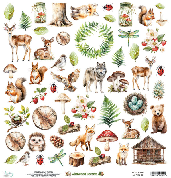 Mintay Papers - Wildwood Secrets - 09 - 12x12"