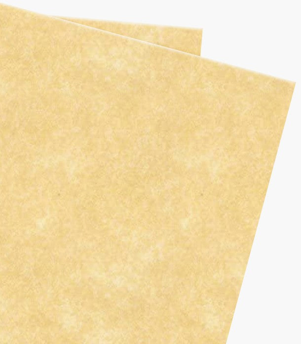 The Paper Company - Cardstock - Parchment Tan