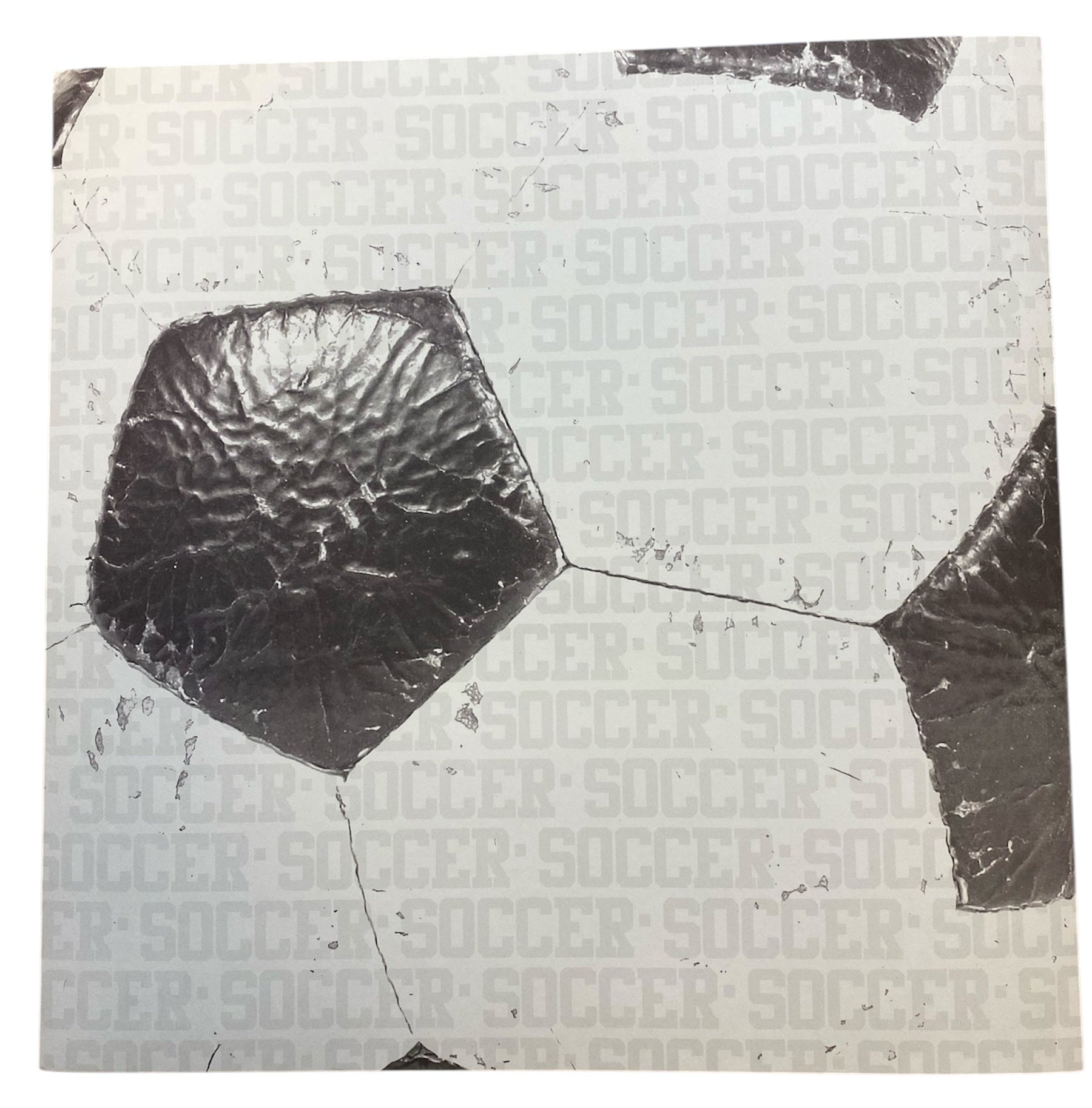 DCWV - High School - Soccer - 12 x 12"