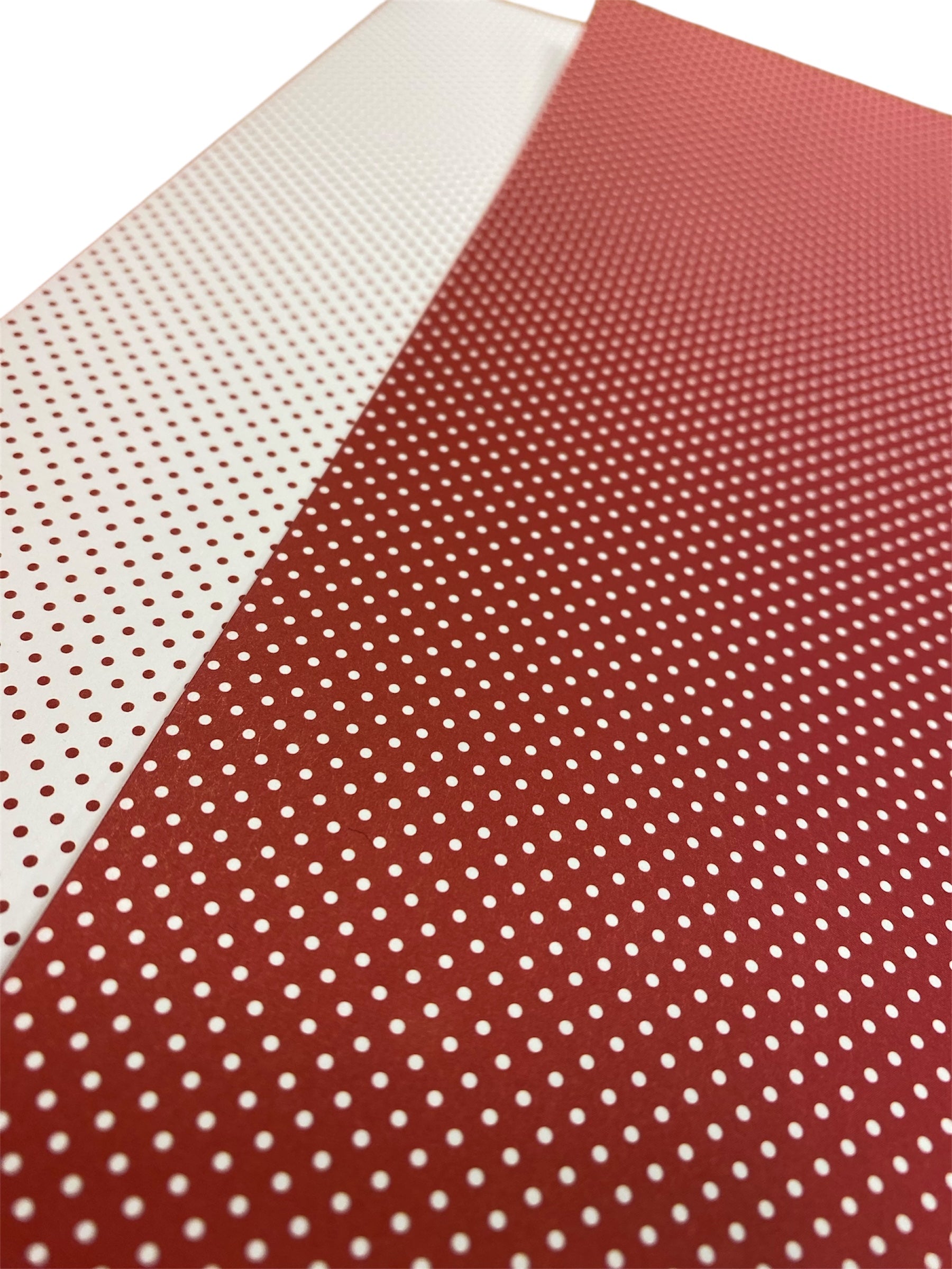 Doodlebug - Swiss Dot - Ruby 12x12"