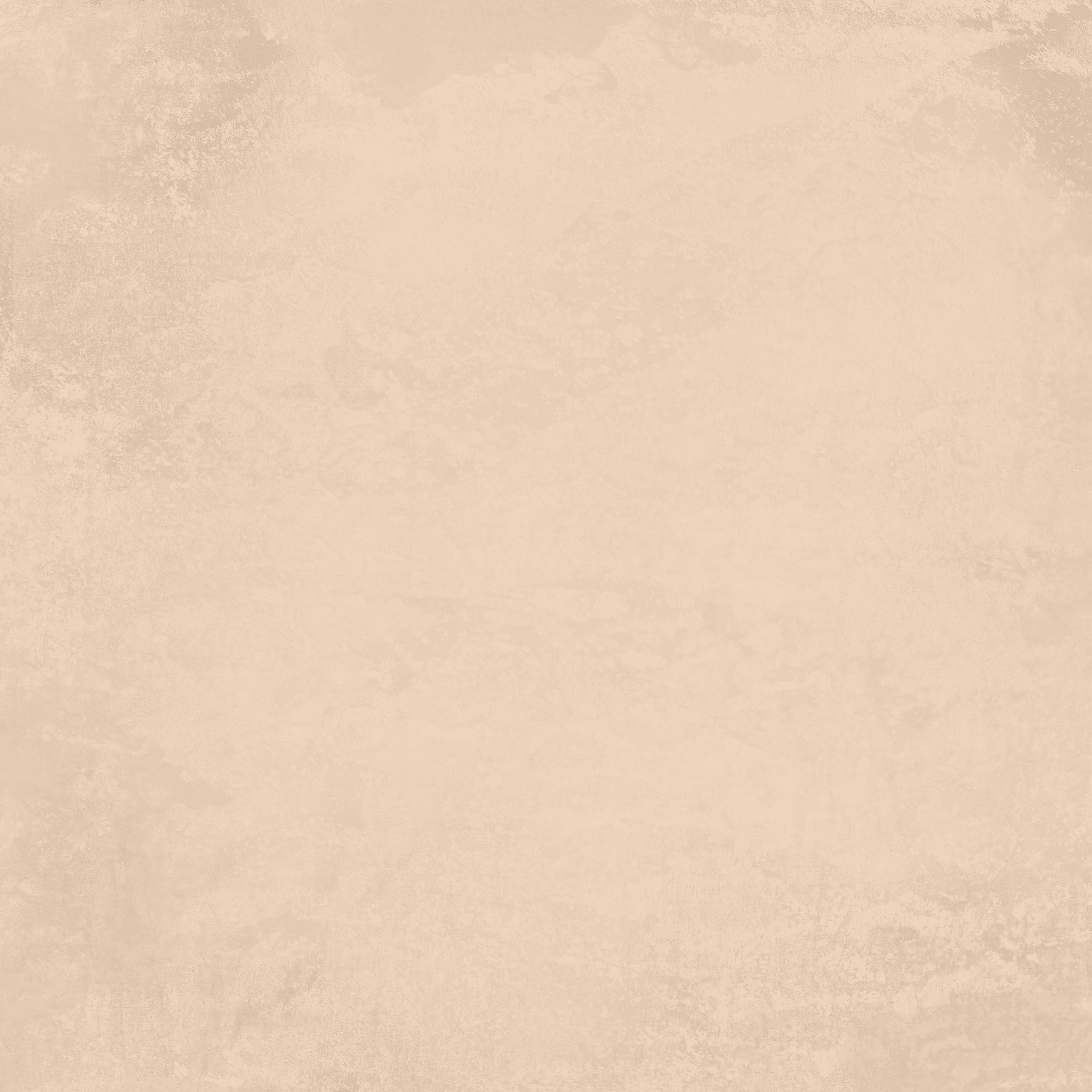 Reprint - Enchanted Halloween Collection - Paper Monochromes - Pumpkin / Beige