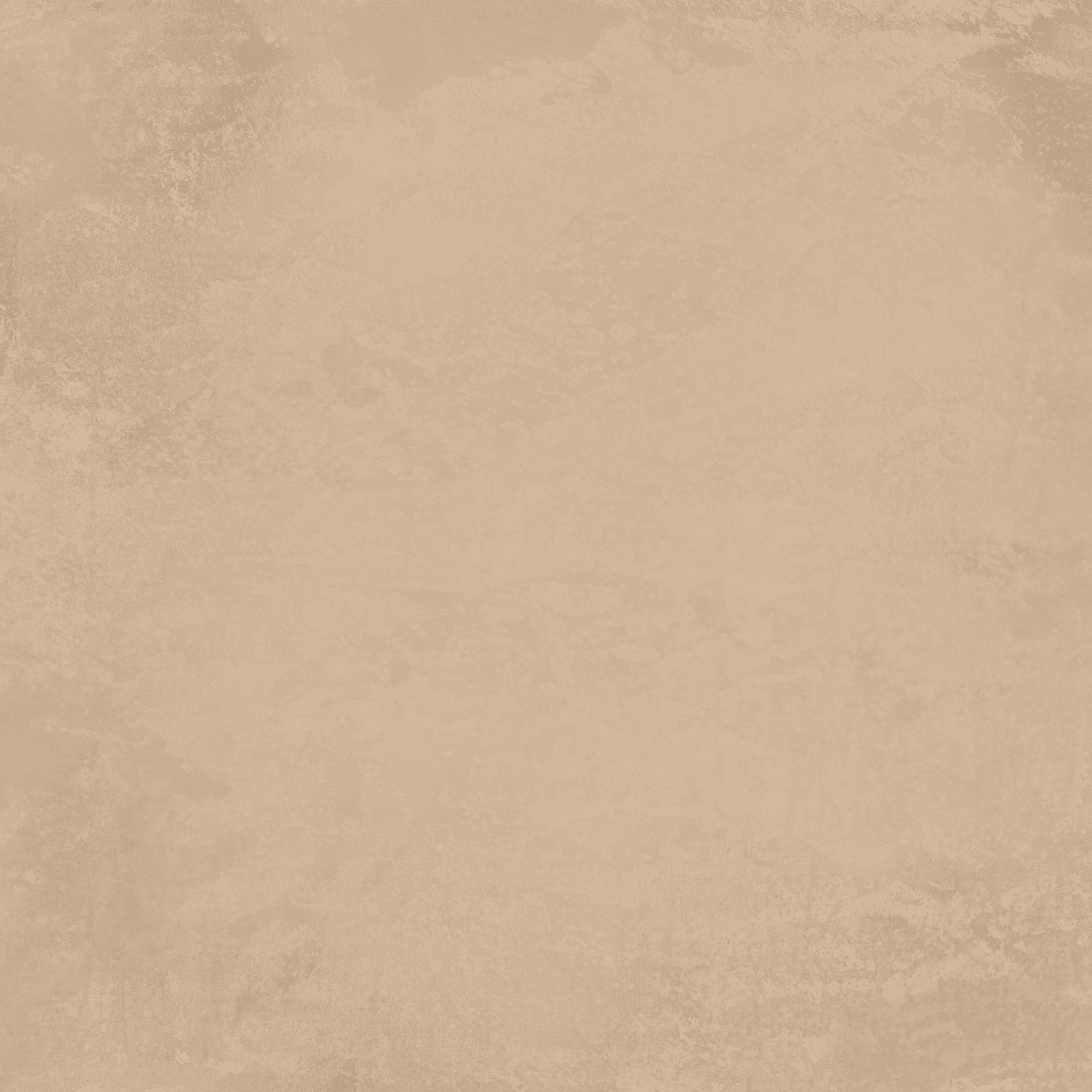 Reprint - Hidden Magic Collection - Paper Monochromes - Pinecone / Latte 12 x 12"