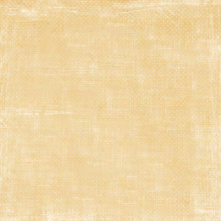 Reprint - Summer Collection - Daisies  - 12 x 12