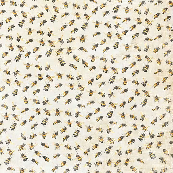 Reprint - Summer Collection - Bee's - 12 x 12"