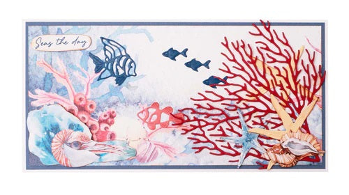 Studiolight - Dies - Take me to the Ocean - Coral Fish