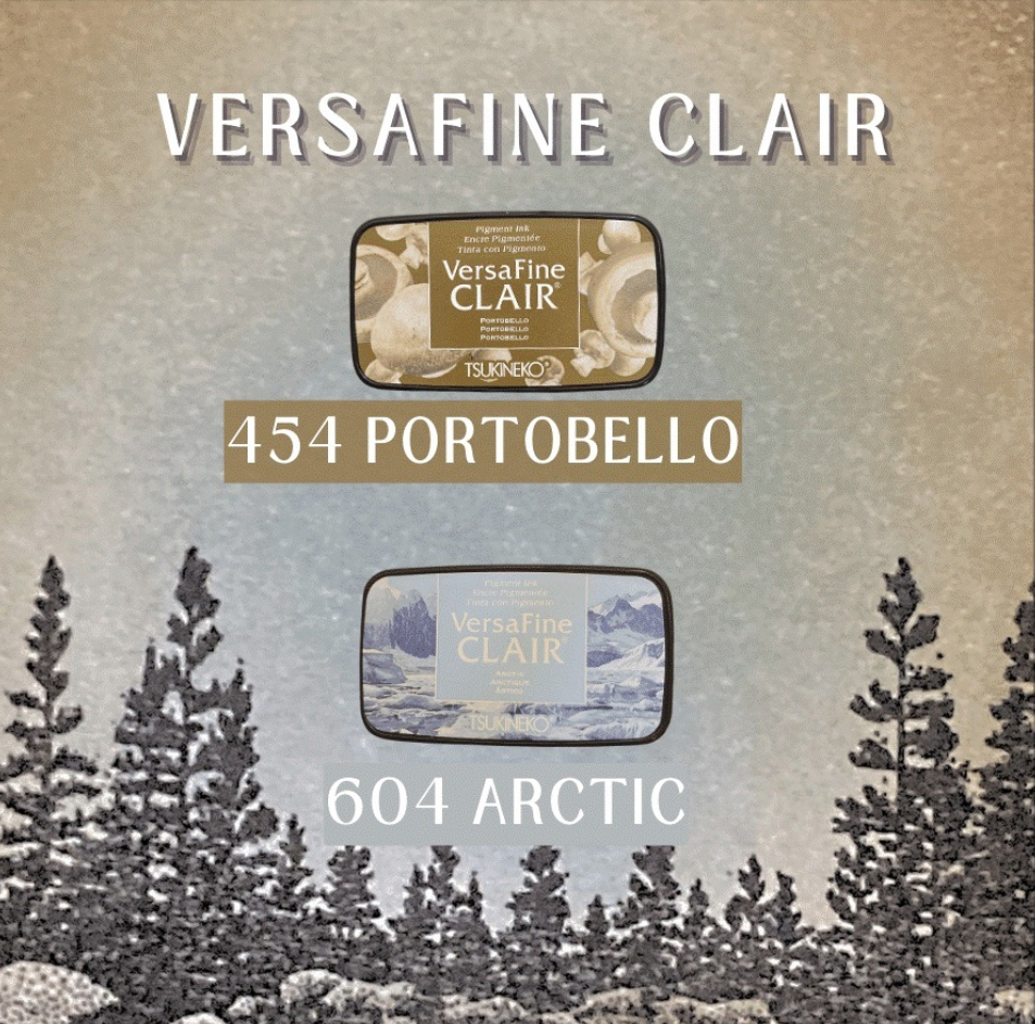 VersaFine Clair - Ink Pad - Arctic