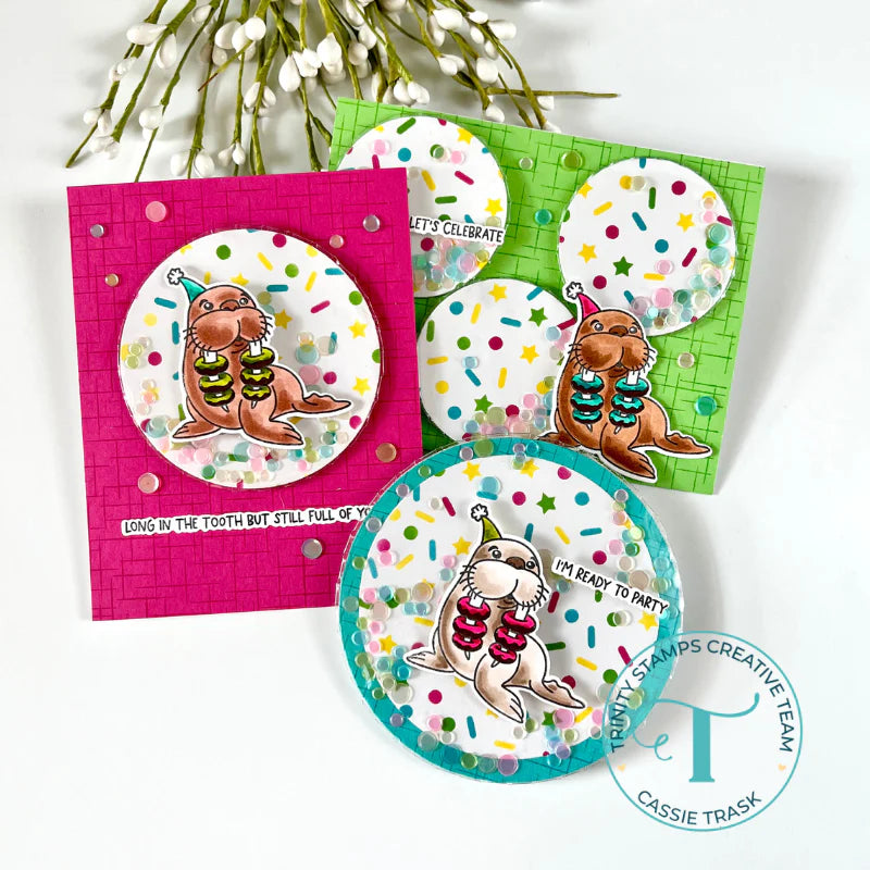 Trinity stamps - Flat Acetate Shaker Pouches - Circle Assortment