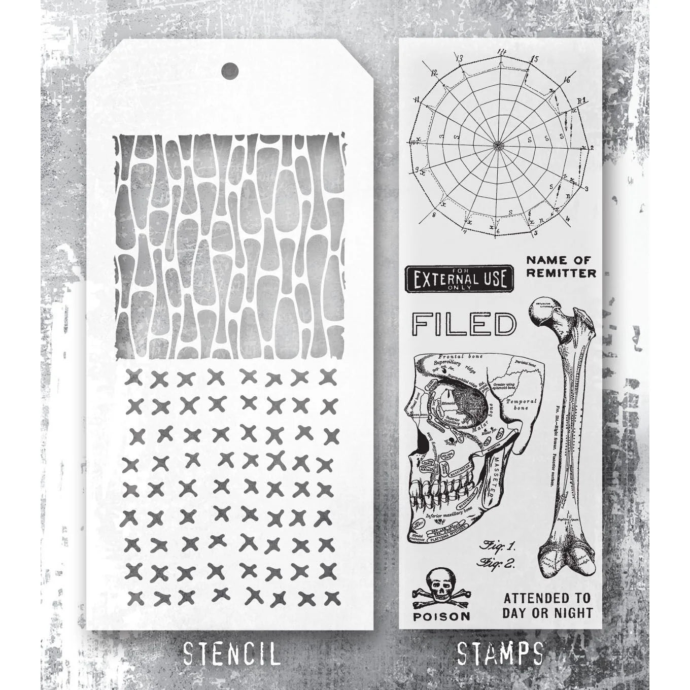 Tim Holtz - Mixed Media Set - Stamp/Stencil - Anatomy