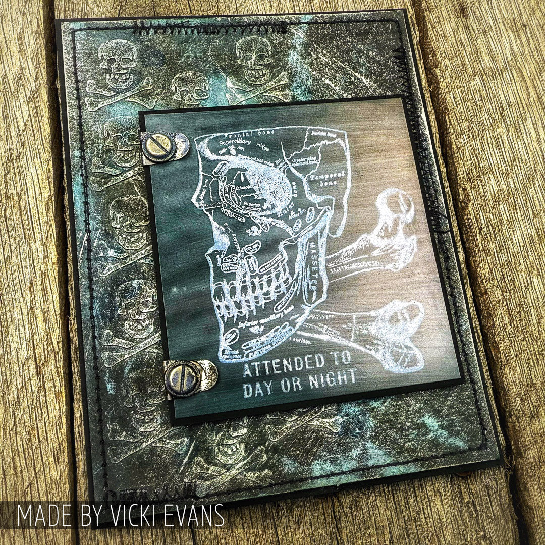 Tim Holtz - Mixed Media Set - Stamp/Stencil - Anatomy