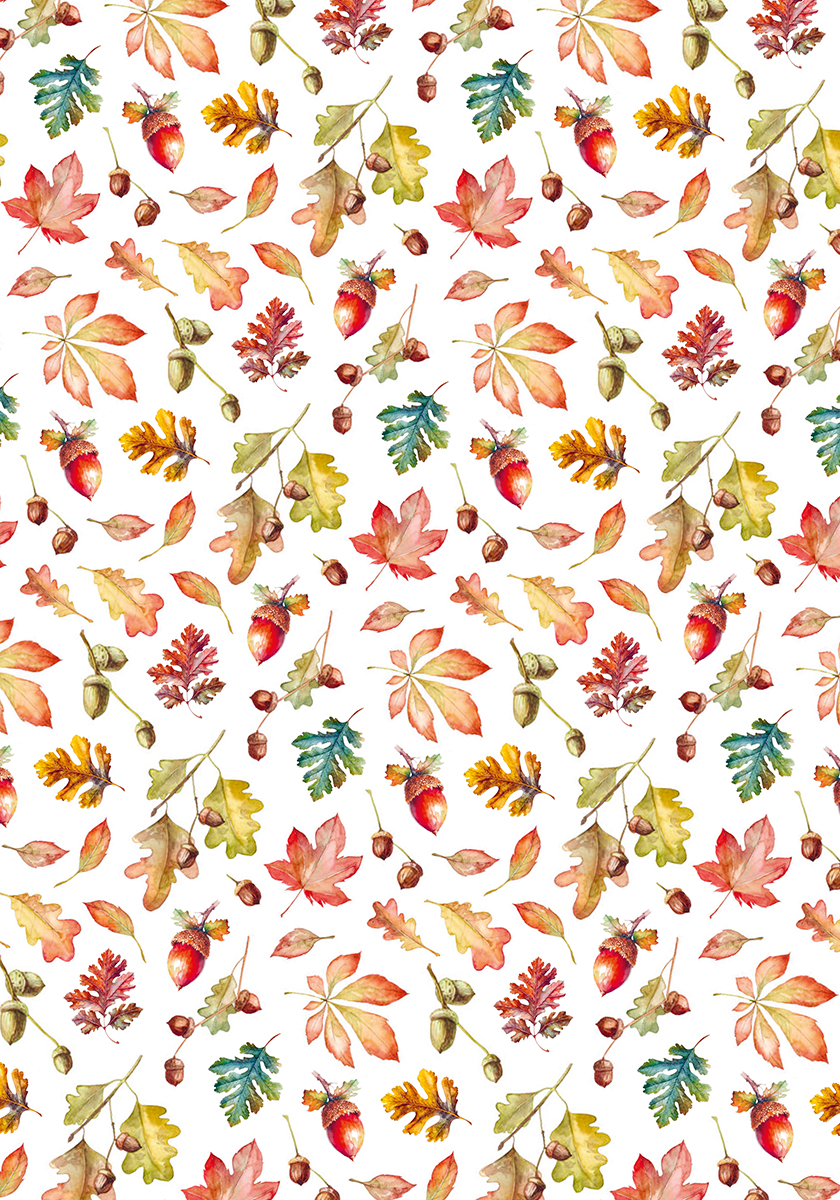 Ciao Bella - Into the wild - Vellum Patterns Pack - A4