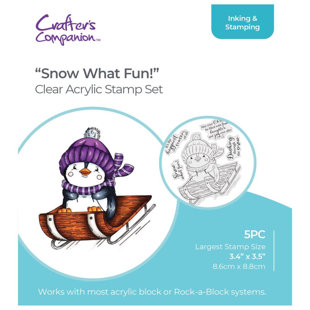 Crafters Companion - Clear stamp - Snow what fun!