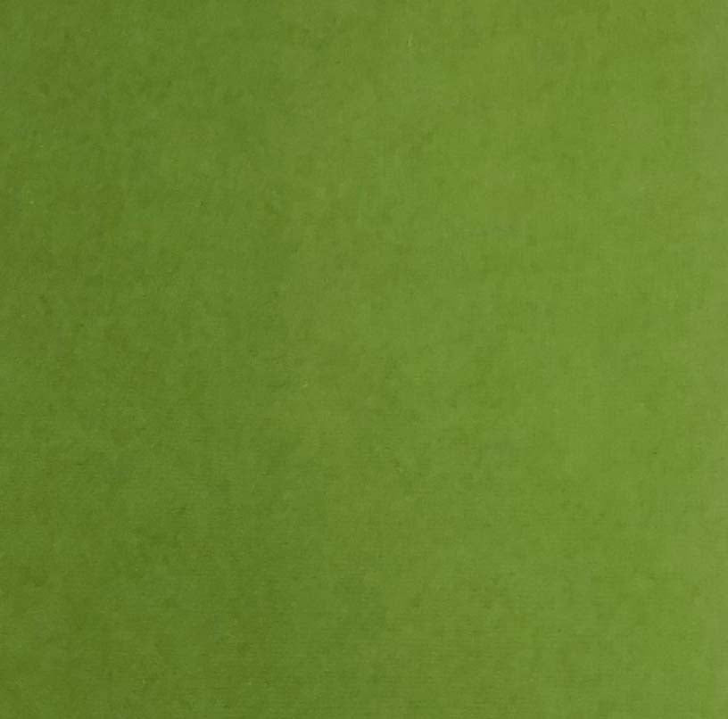 Reprint - Cardstock - Moss  - 12 x 12"