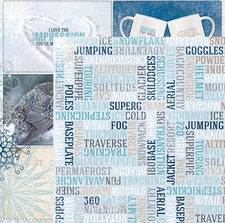 BoBunny - Whiteout - Ski Pass 12x12"