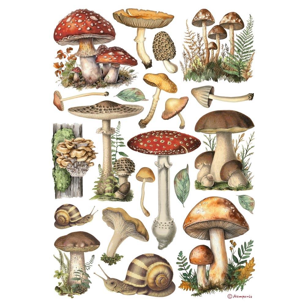 Stamperia - Mushrooms - Rice Paper A4