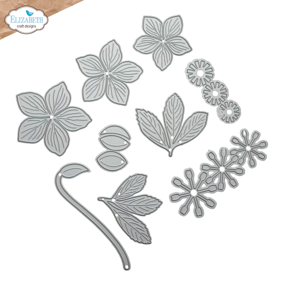 Elizabeth Craft Designs - Dies - Lenten Rose
