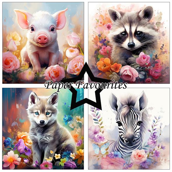 Paper Favourites - Baby animals - Paper Pack    6 x 6"