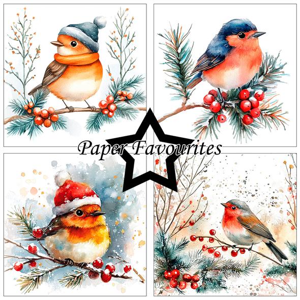 Paper Favourites - Christmas Birds - Paper Pack 6 x 6"