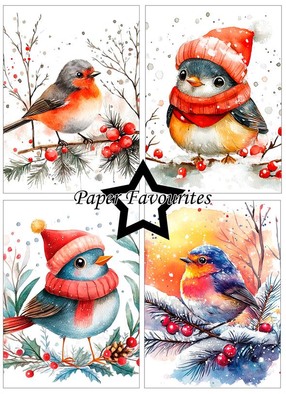 Paper Favourites - Christmas Birds - A6