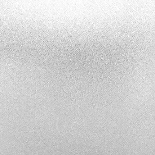 Bazzill Glazed - Metallic Cardstock - Celebration Taffeta 12x12"