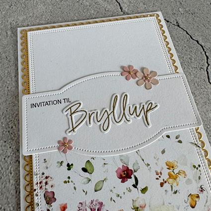 Simple and Basic - Dies - Bellybelt