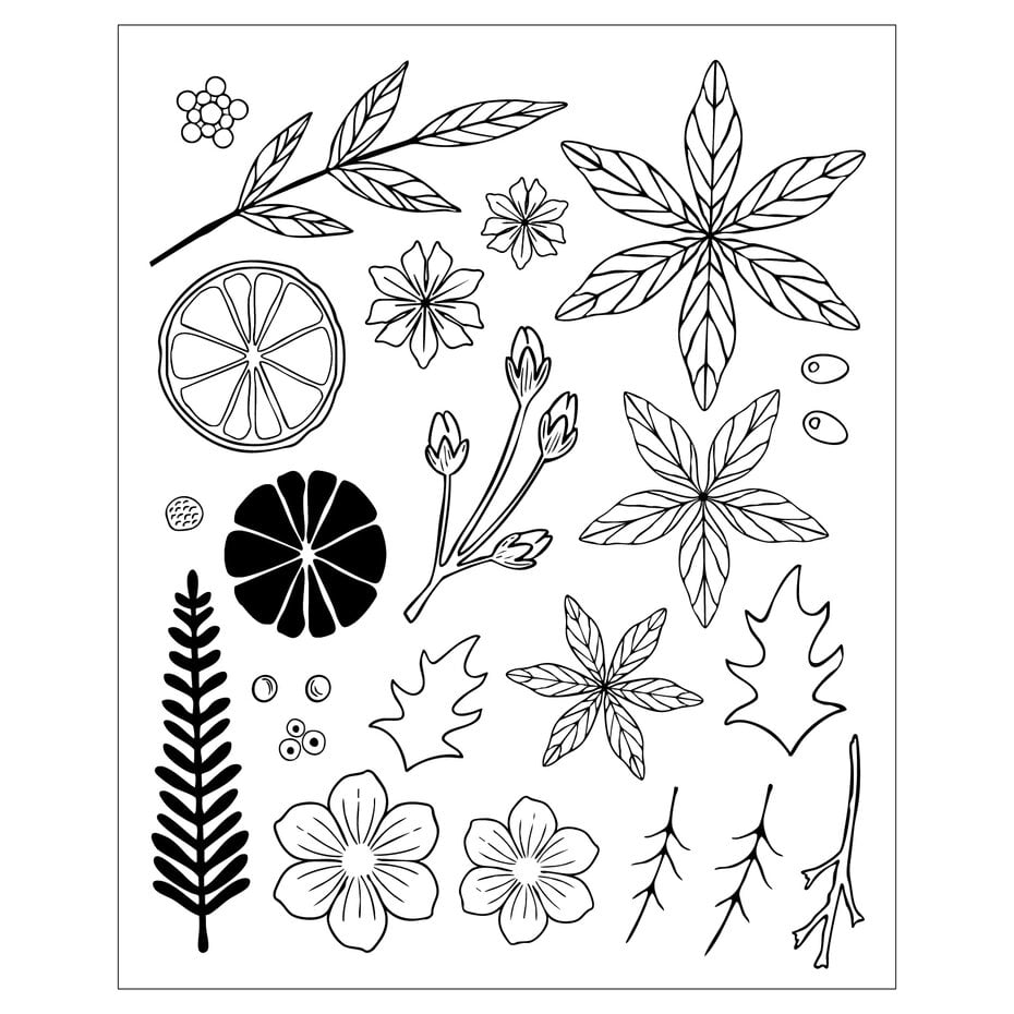 Sizzix - Vicky Boutin - Framelits dies & Clear stamps - Winter Florals