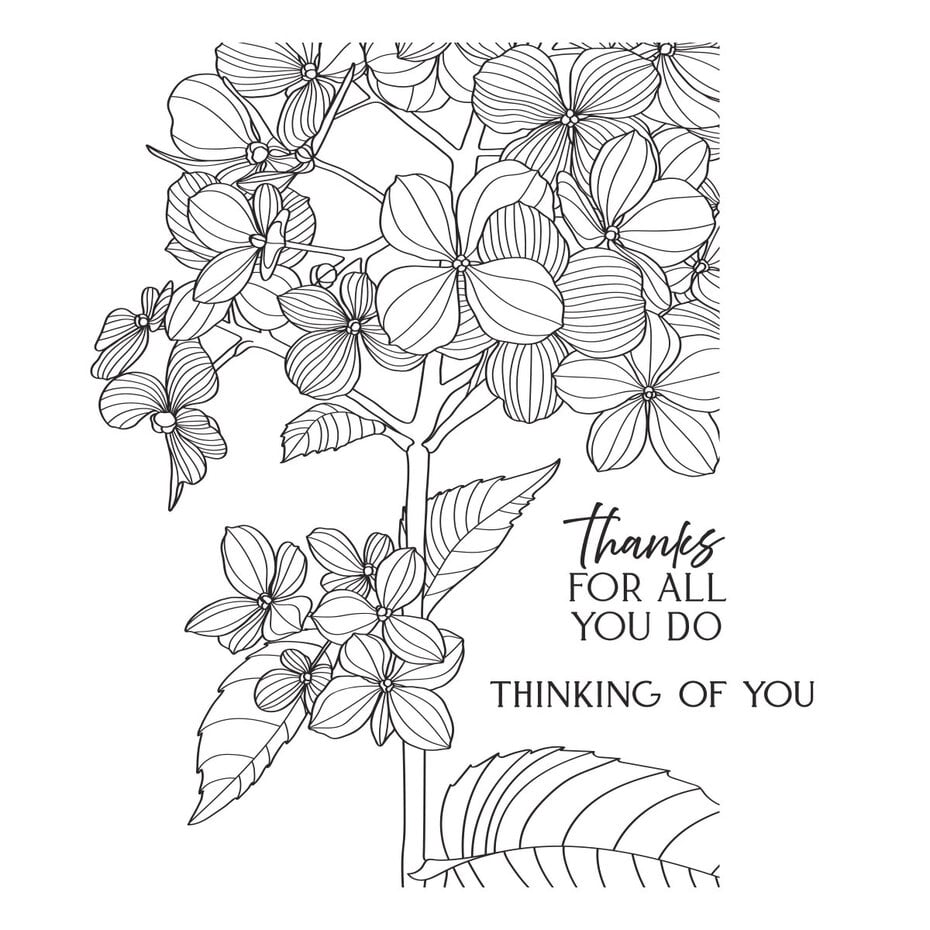 Spellbinders - Create Your Way Everyday Press + Foil Plates Thanks in Bloom