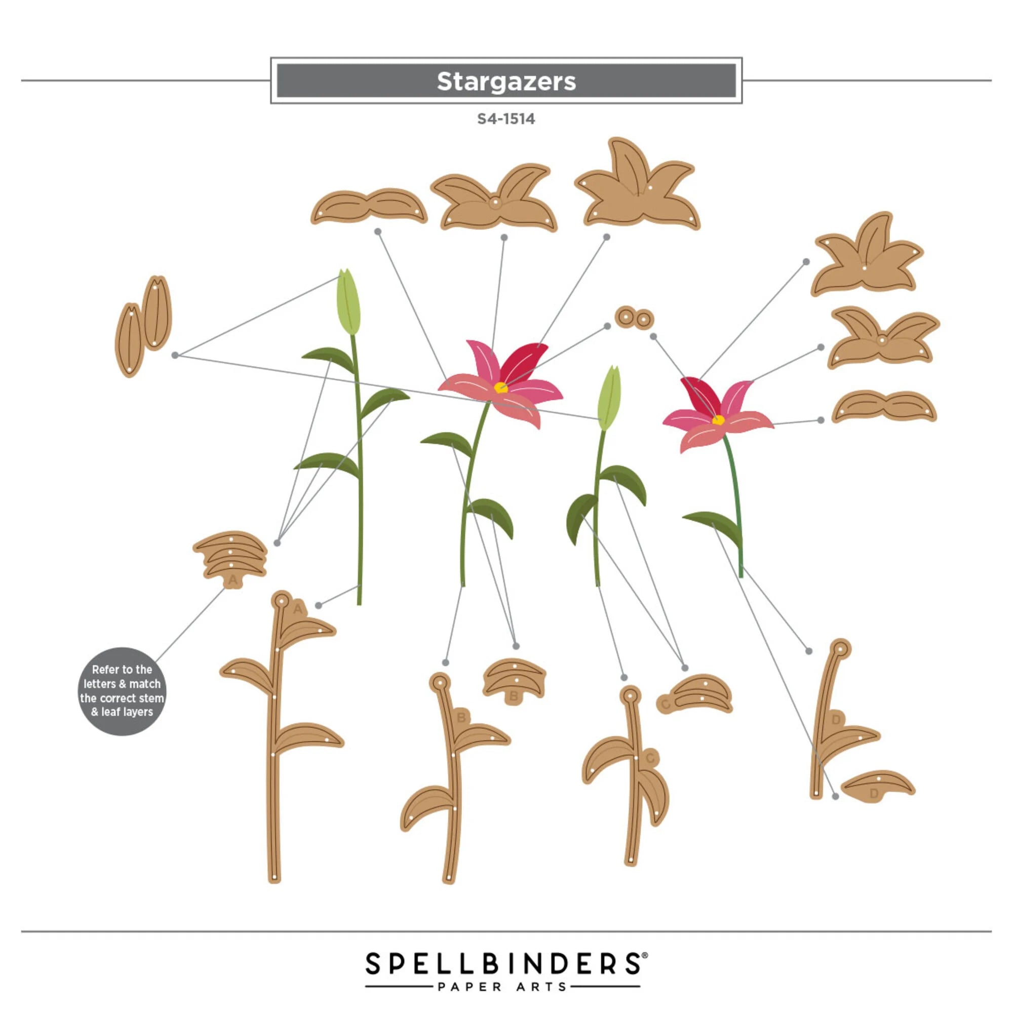 Spellbinders - Dies - Stargazers