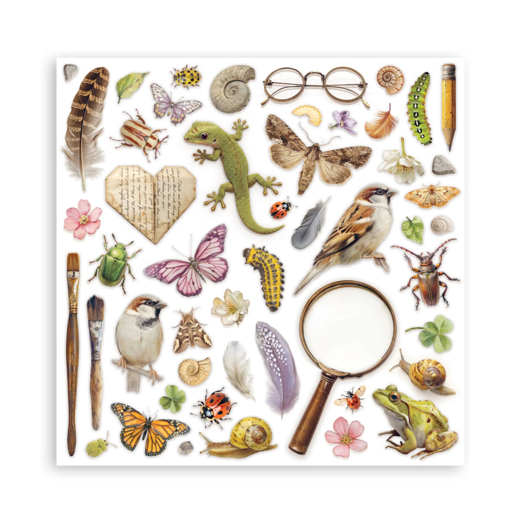 Stamperia - All Around - Singled sided - Paper Pad 8 x 8" (22ark)