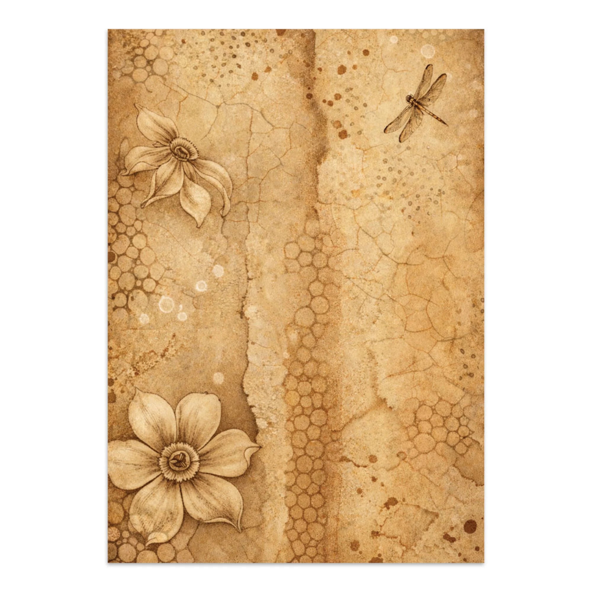 Stamperia - Junk Journal - All Around - Focus Points - A5