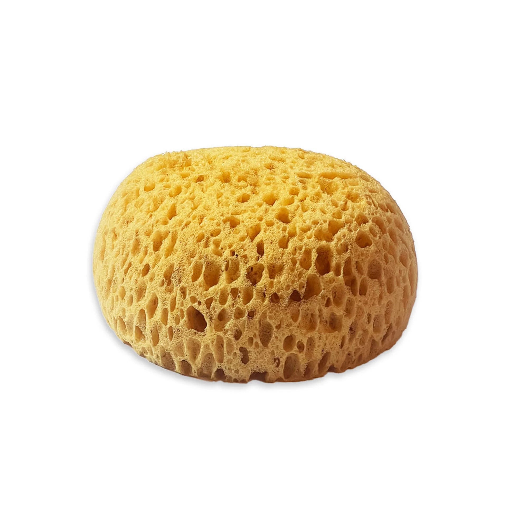 Stamperia - Paint sponge