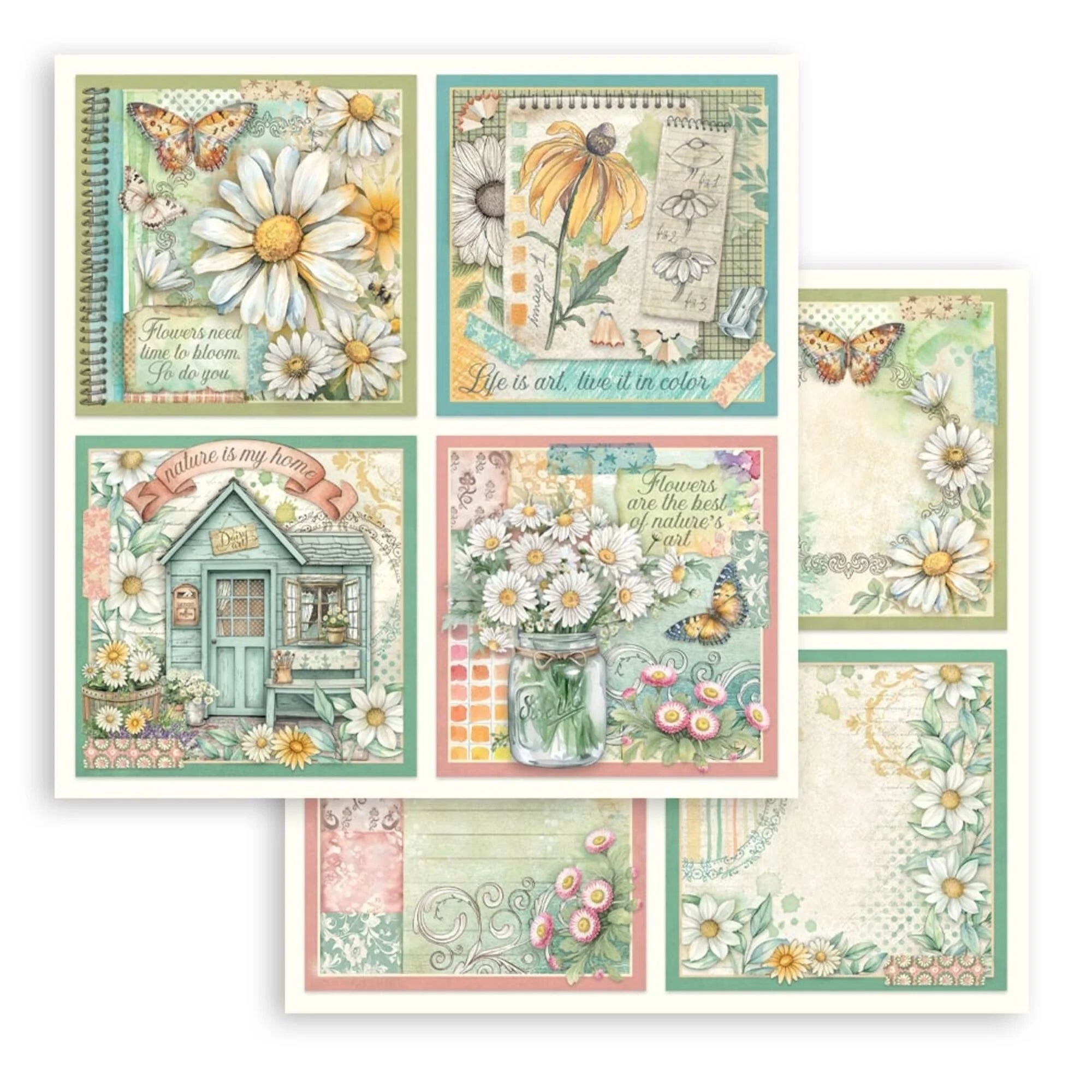 Stamperia - Daisy Art - 4 cards paper - 12 x 12"