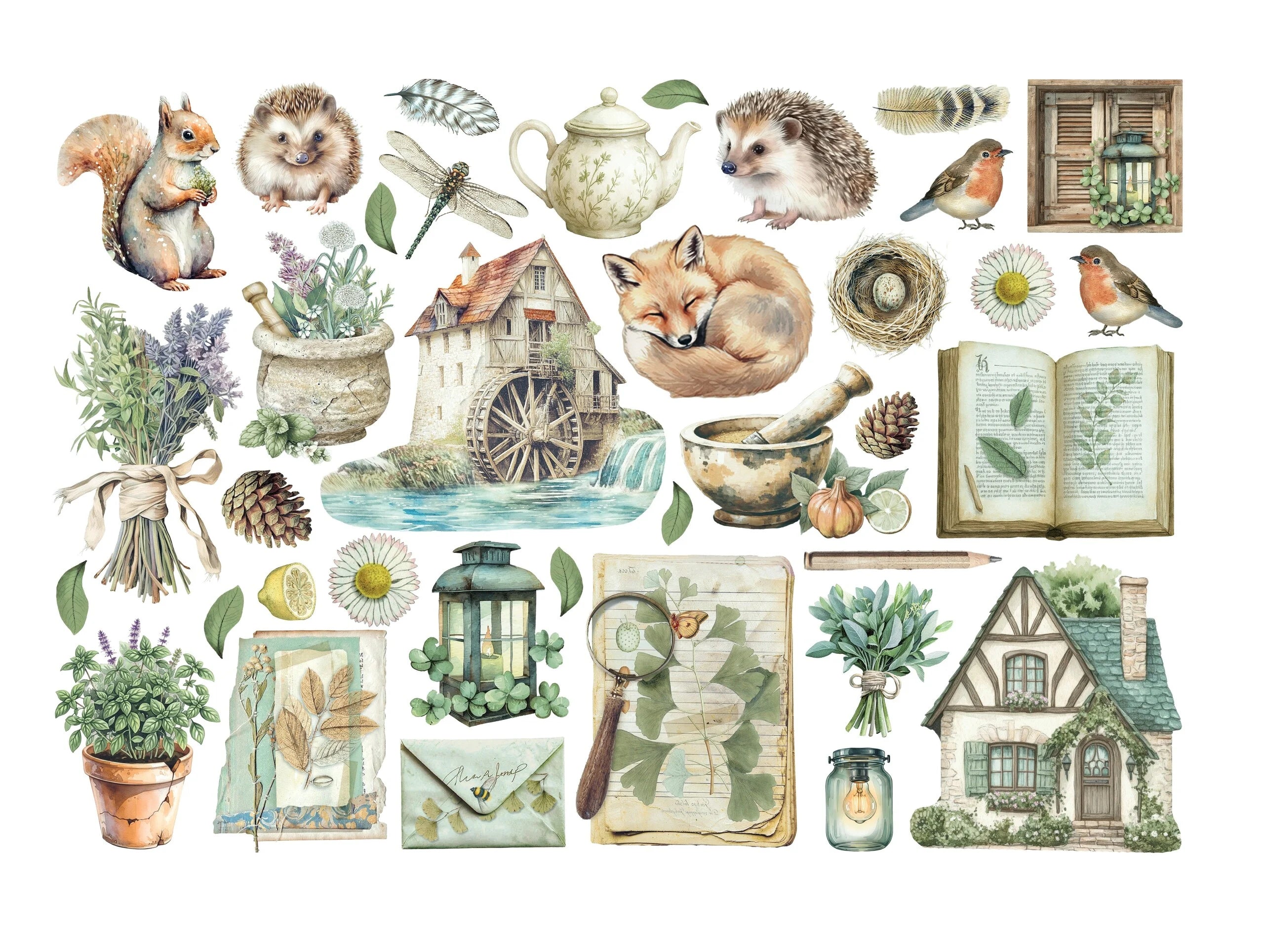 Stamperia - Herbarium Silvae - Adhesive Ephemera