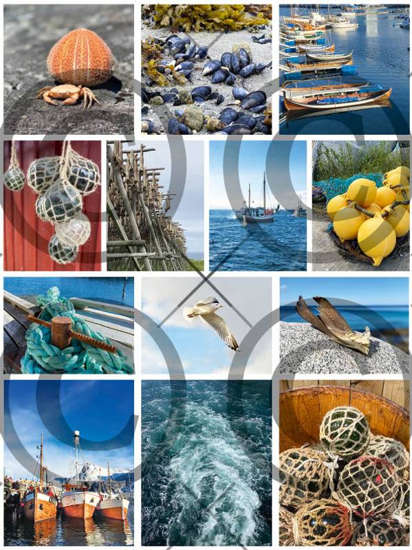 Papirdesign - Motivark - Sjøklipp - A4