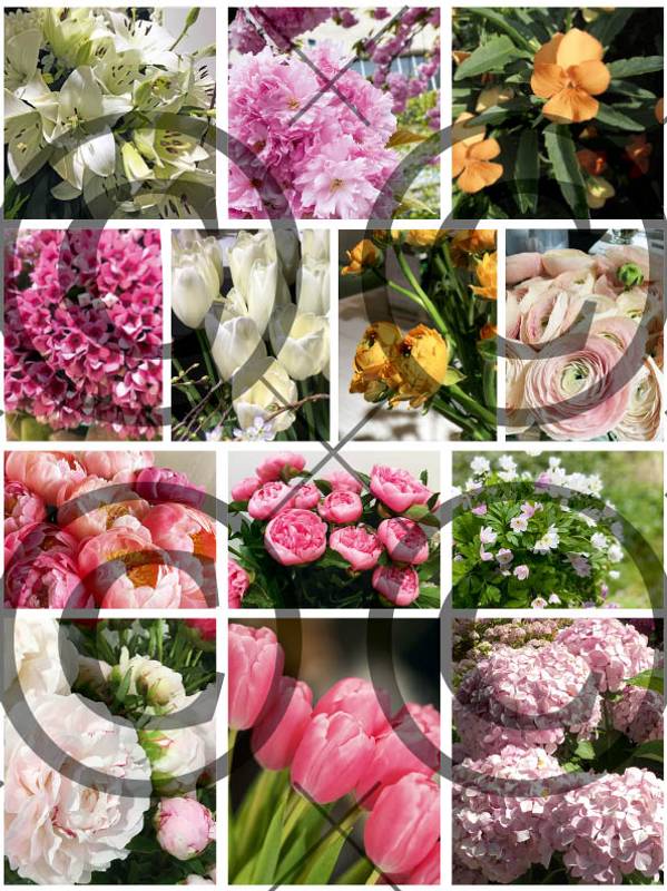 Papirdesign - Motivark - Blomstermotiv - A4