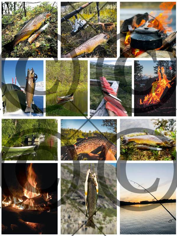 Papirdesign - Motivark - Fiskemotiv - A4