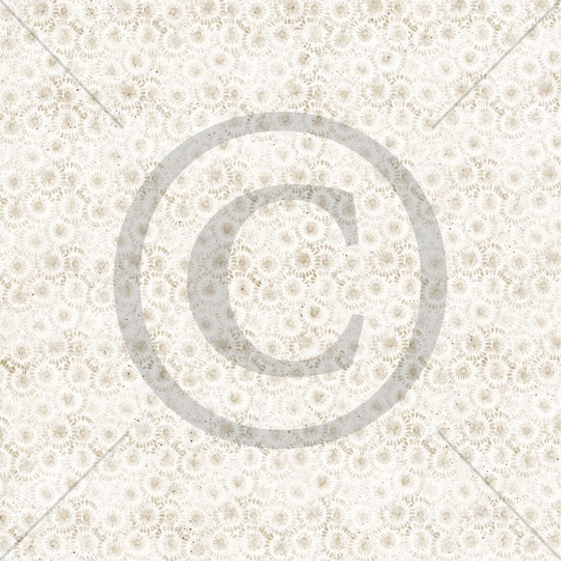 Papirdesign - Ungdomstid -  Vi feirer - 12 x 12"