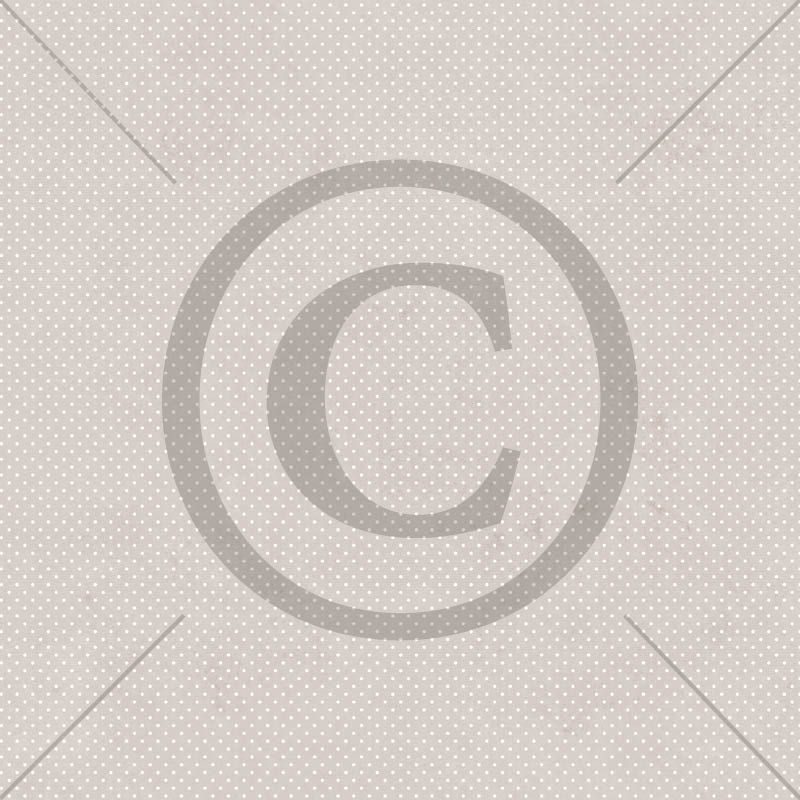 Papirdesign - Fremtidsdrøm - Kvitter og sang (Forhåndssalg - På lager i løpet av uke 9)