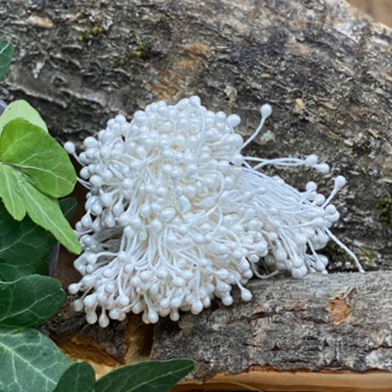 Papirdesign - Bær - Hvite små