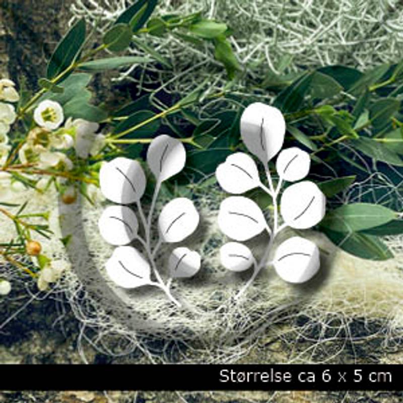 Papirdesign - Dies - Eucalyptus