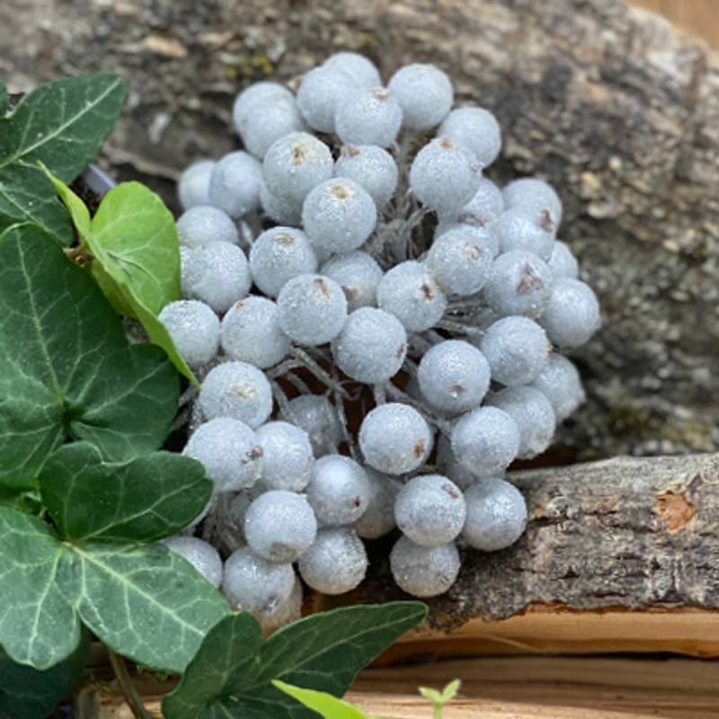 Papirdesign - Bær - Sølv med sukker