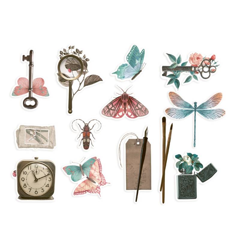 P13 - Naturalist - Ephemera - die cuts