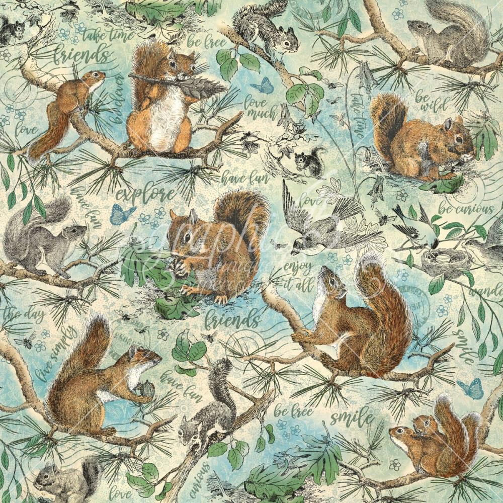 Graphic 45 - Woodland Friends - Be curious - 12x12"