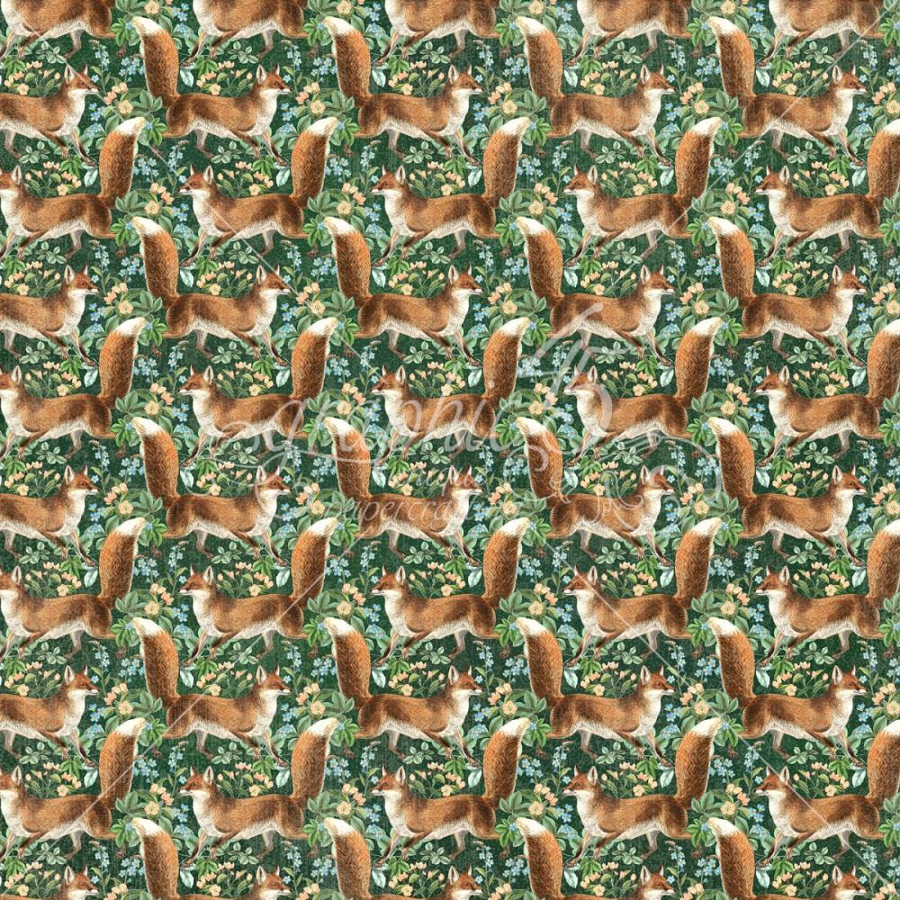 Graphic 45 - Woodland Friends - Be clever - 12x12"