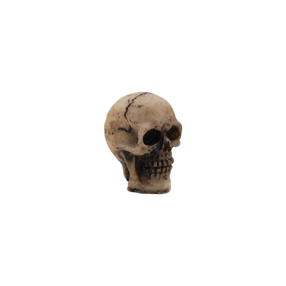 Tim Holtz - Idea-Ology - Halloween 2022 - Skulls