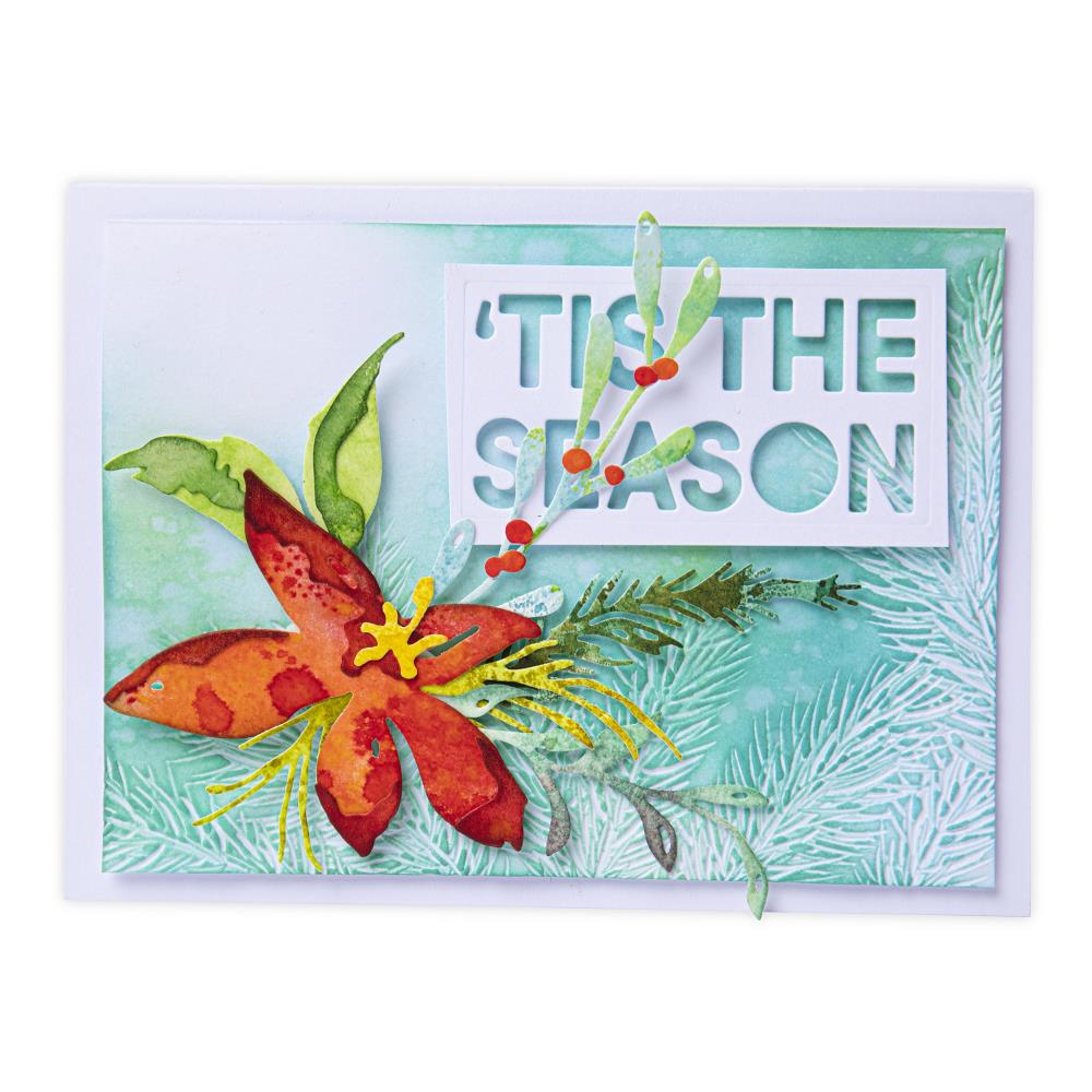 Sizzix - Tim Holtz - Thinlits - Holiday Brushstroke #3