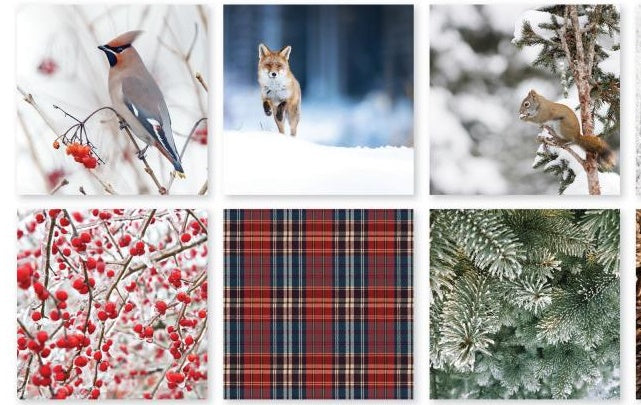 Reminisce - Winter Canvas Kit  -    12x12"