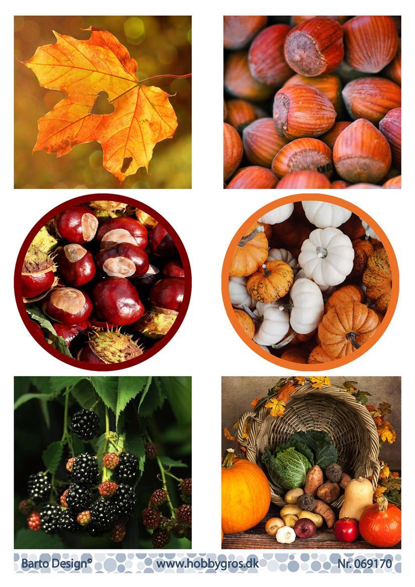 Barto Design - Utklippsark - Autumn Colors