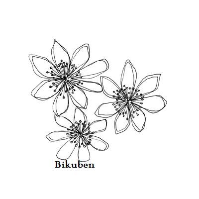 Penny Black: Portraits