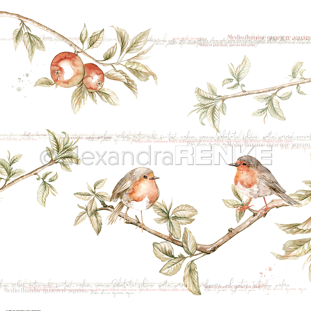 Alexandra Renke - Big Robin pair  - 12 x 12"