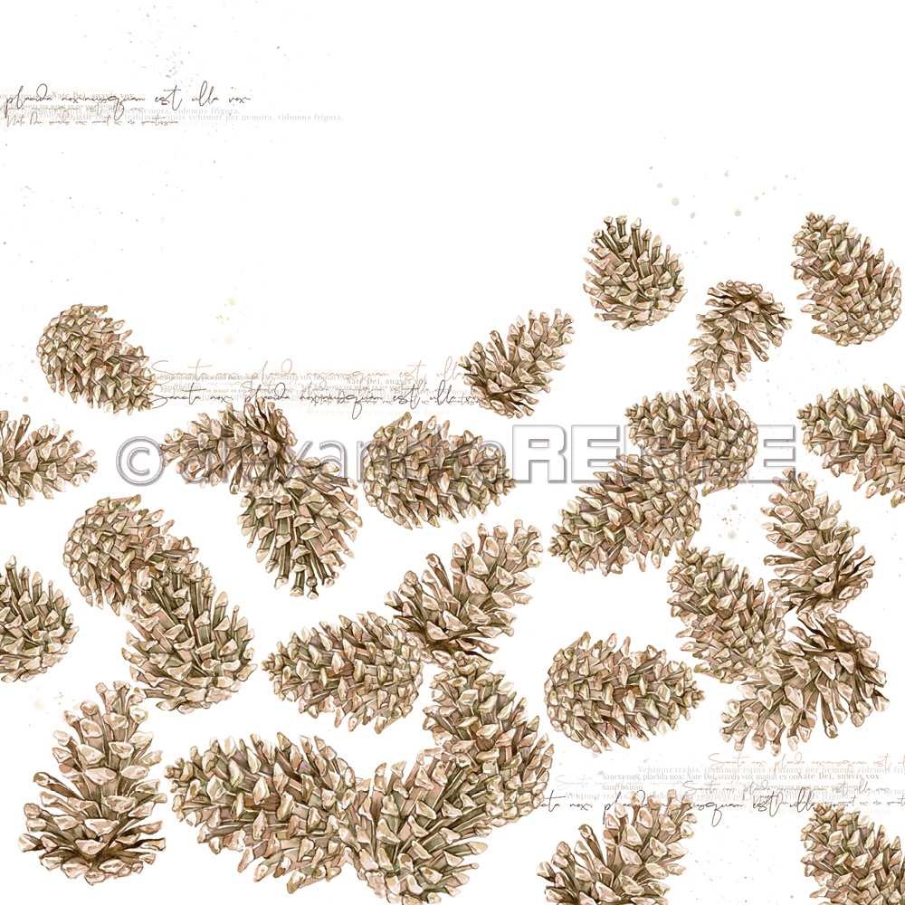 Alexandra Renke - Lots of cones - Paper   12x12"